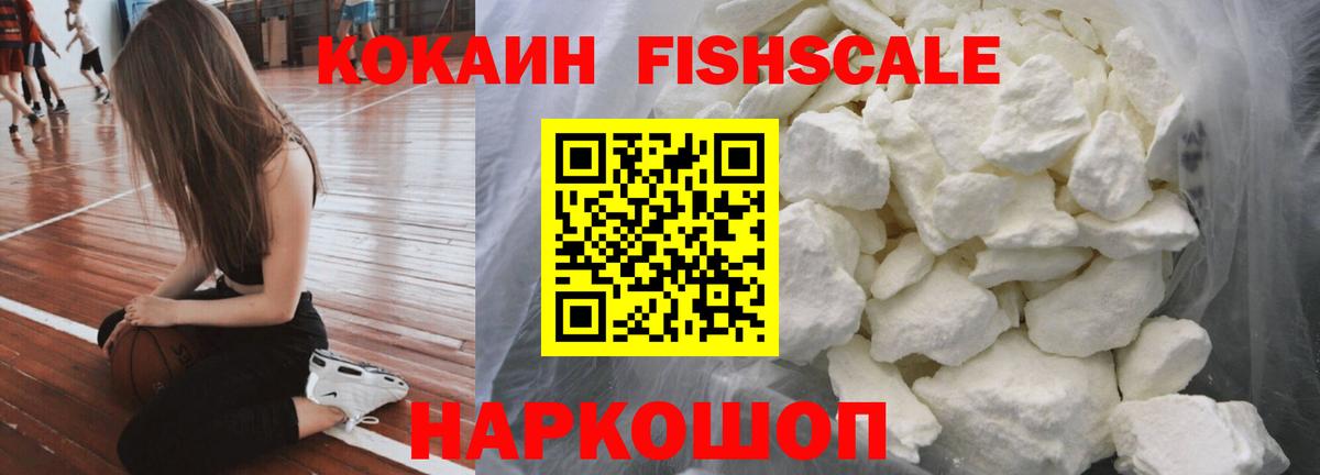 COCAIN  COCAIN Fish Scale  Вход с VPN  Прокопьевск 