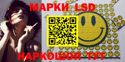 индика Будённовск