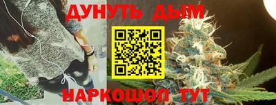 индика Будённовск