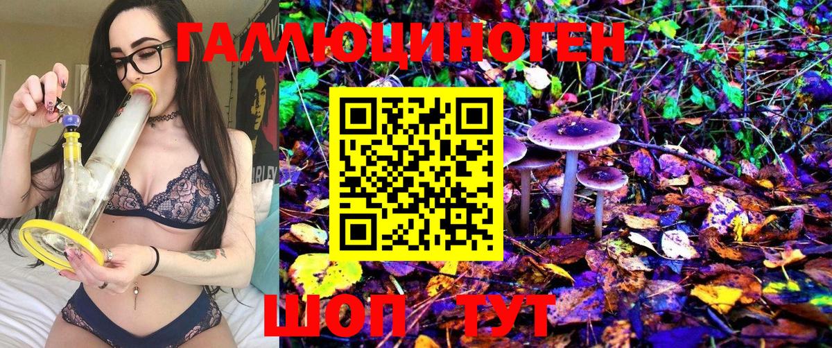 Прокопьевск  Псилоцибиновые грибы Magic Shrooms  Вход с VPN  Галлюциногенные грибы Magic Shrooms 