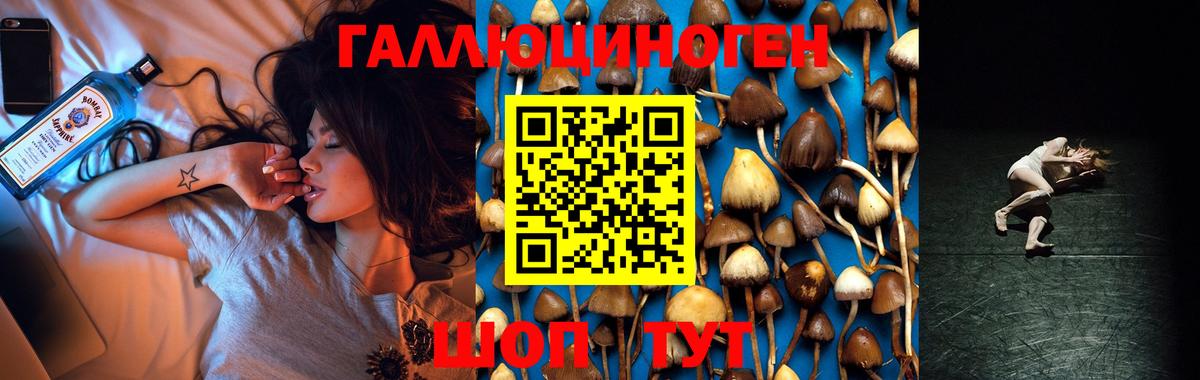 Псилоцибиновые грибы GOLDEN TEACHER Прокопьевск